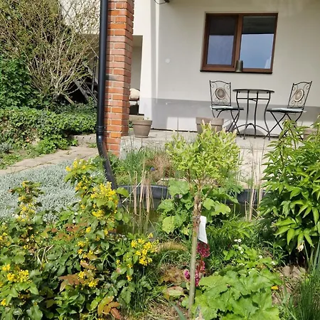 Small House On Vrbica Holiday home